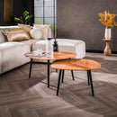 Modera - Salontafel set-2 rock organisch - Massief ac