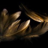 Glasschilderij - 100x150 / 80x120 / 60x90cm (liggend) - Exclusive - Special - Gouden Veren Mary