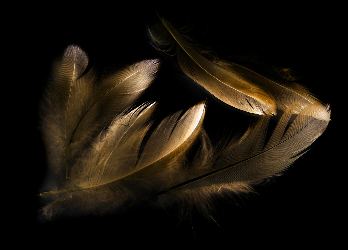 Glasschilderij - 100x150 / 80x120 / 60x90cm (liggend) - Exclusive - Special - Gouden Veren Mary