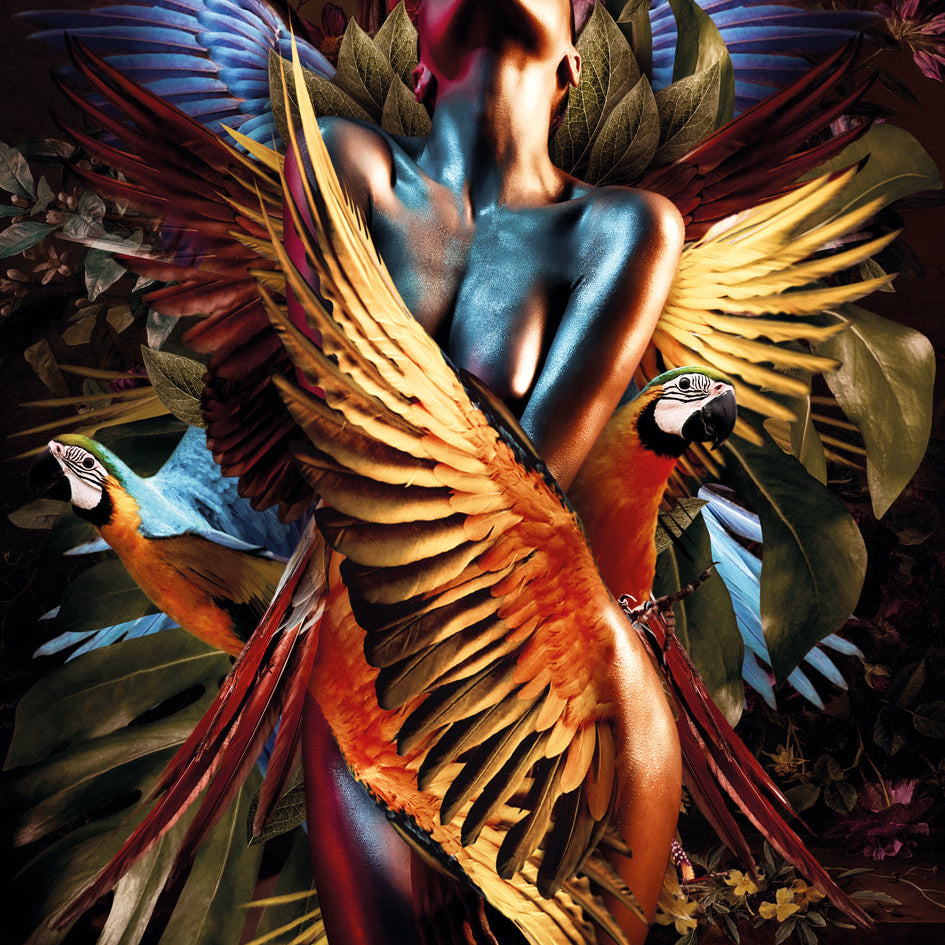 Glasschilderij - 100x150 / 80x120cm - Exclusive - Model - Elizabeth Fly - Colorful