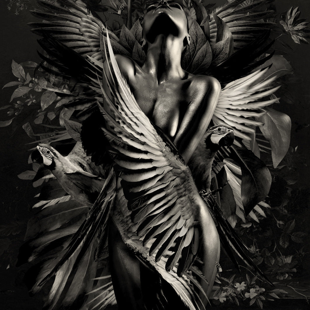 Glasschilderij - 100x150 / 80x120cm - Exclusive - Model - Elizabeth Fly - Vrouw met Vleugels