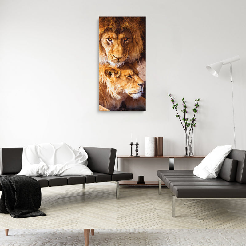 Glasschilderij - 100x50cm - Exclusive - Dieren - Leeuwen Koppel Artis - Kleur - meubelboutique.nl