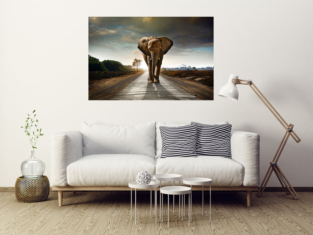 Glasschilderij - 110x160/ 80x120cm - Dieren - Olifant Savannah
