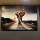 Glasschilderij - 110x160/ 80x120cm - Dieren - Olifant Savannah