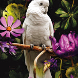 Glasschilderij - 120x80cm - Exclusive - Dieren - Kaketoe Links - 2-Luik (1)