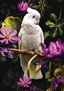 Glasschilderij - 120x80cm - Exclusive - Dieren - Kaketoe Links - 2-Luik (1)