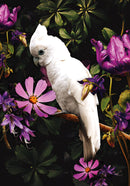 Glasschilderij - 120x80cm - Exclusive - Dieren - Kaketoe Rechts 2-Luik (2)