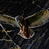 Glasschilderij - 120x80cm - Exclusive - Dieren - Otis Owl Uil