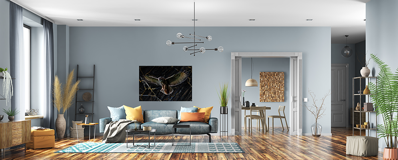 Glasschilderij - 120x80cm - Exclusive - Dieren - Otis Owl Uil