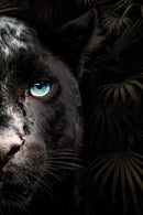 Glasschilderij - 120x80cm - Exclusive - Dieren - Zwarte Panter