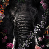 Glasschilderij - 150x100 / 120x80 / 90x60cm - Exclusive - KRUGER - Olifant Boris