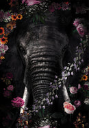 Glasschilderij - 150x100 / 120x80 / 90x60cm - Exclusive - KRUGER - Olifant Boris