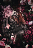 Glasschilderij - 150x100 / 120x80 / 90x60cm - Exclusive - KRUGER - Tijger Jungle Paars