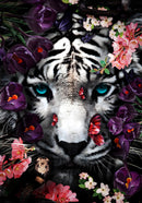 Glasschilderij - 150x100 / 120x80 / 90x60cm - Exclusive - KRUGER - Witte Tijger Felix