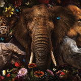 Glasschilderij - 150x100 / 120x80cm - Exclusive - Dieren - BIG 5 Alpha