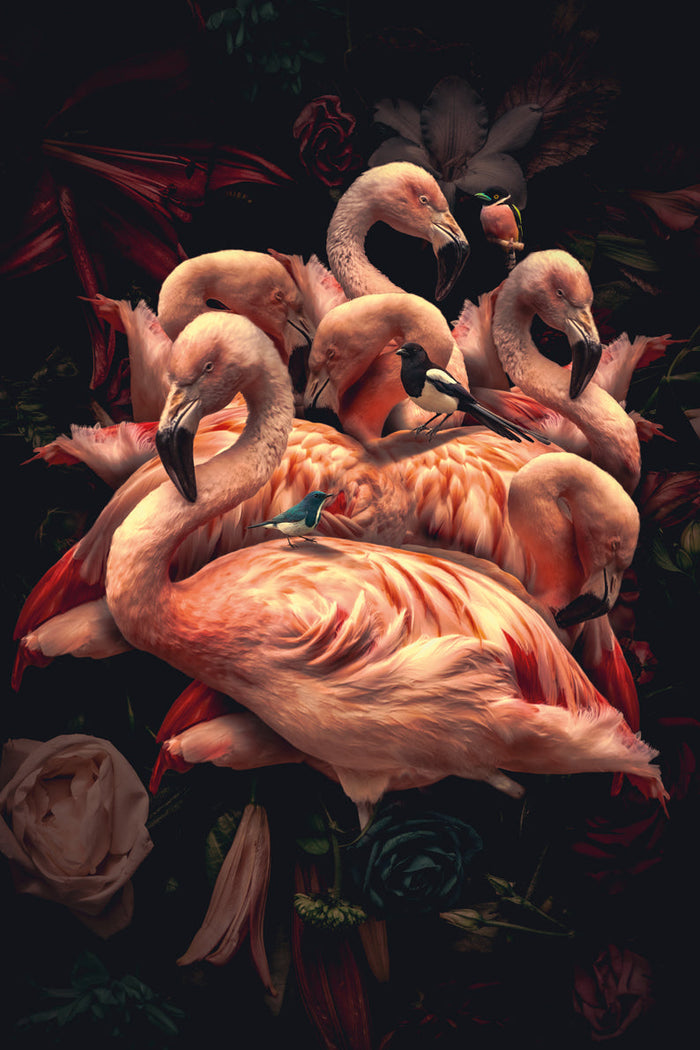 Glasschilderij - 80x120cm - Exclusive - Dieren - Flamingo Rosa