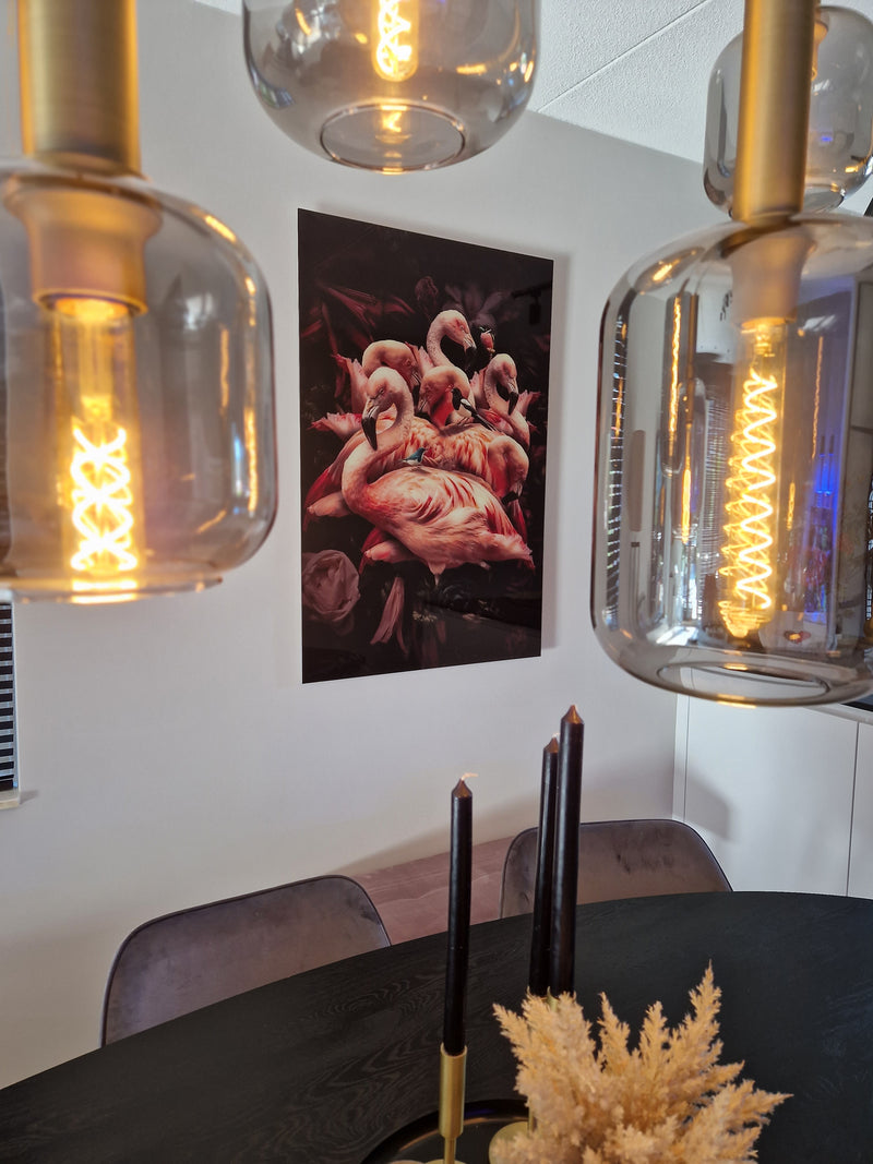 Glasschilderij - 80x120cm - Exclusive - Dieren - Flamingo Rosa