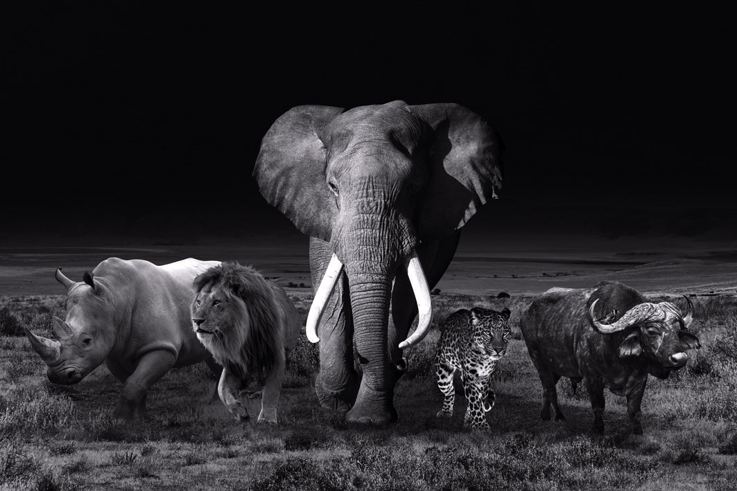 Glasschilderij - 80x120cm - Exclusive - Dieren The Big 5