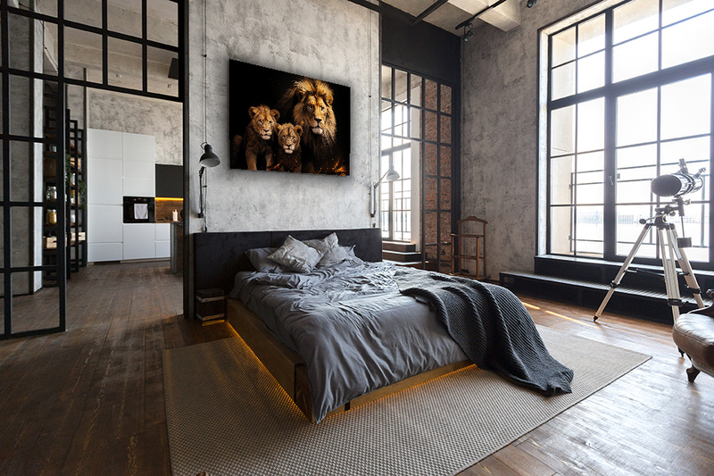 Glasschilderij - Exclusive - Liggend - Leeuwenfamilie 2 Welpen Noa