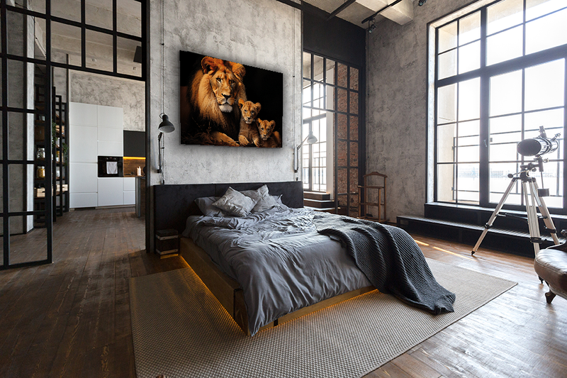 Glasschilderij - Exclusive - Liggend - Leeuwenfamilie Man 2 Welpen