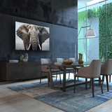 Glasschilderij - Exclusive - Liggend - Olifant Gelder