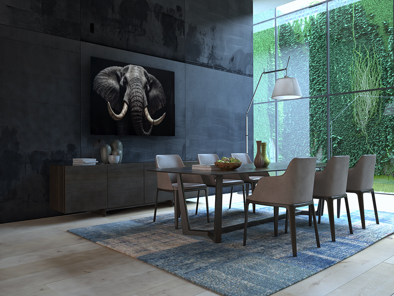Glasschilderij - Exclusive - Liggend - Olifant Mammoet
