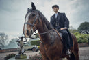 Glasschilderij - Exclusive - Liggend - Peaky Blinders Shelby