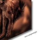 Glasschilderij - 150x100 / 120x80cm - Exclusive - KRUGER - Dieren - ADAM Leeuwen Familie