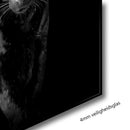 Glasschilderij - 120x80cm - Exclusive - Model - Medina x Black Panther B&W