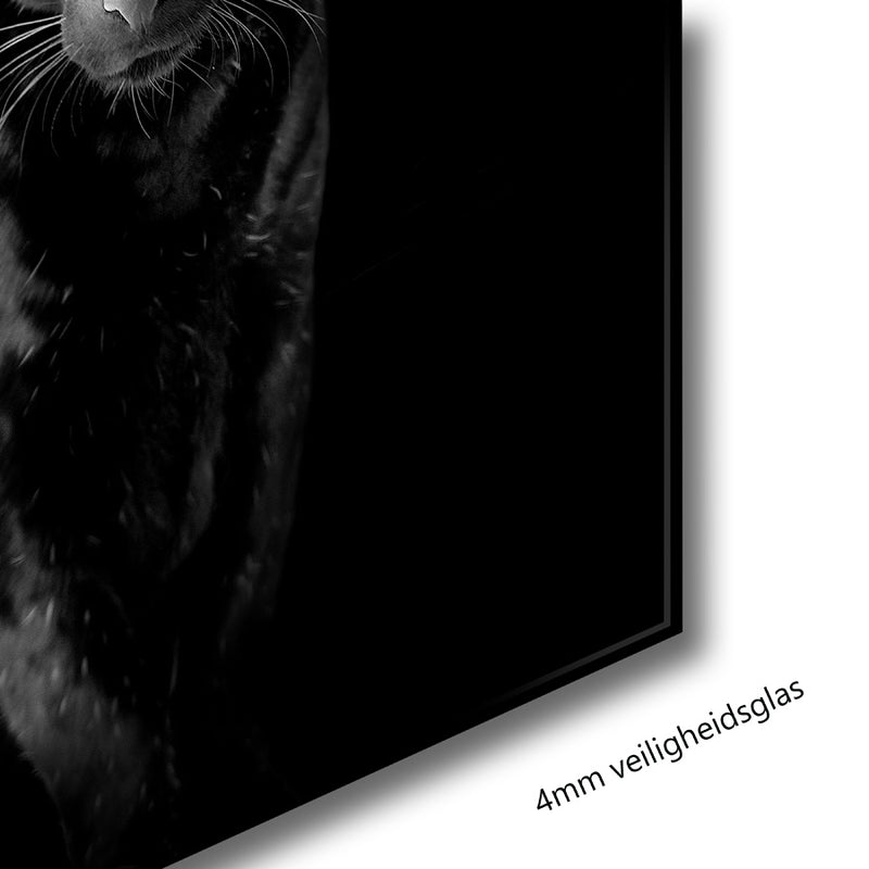 Glasschilderij - 120x80cm - Exclusive - Model - Medina x Black Panther B&W