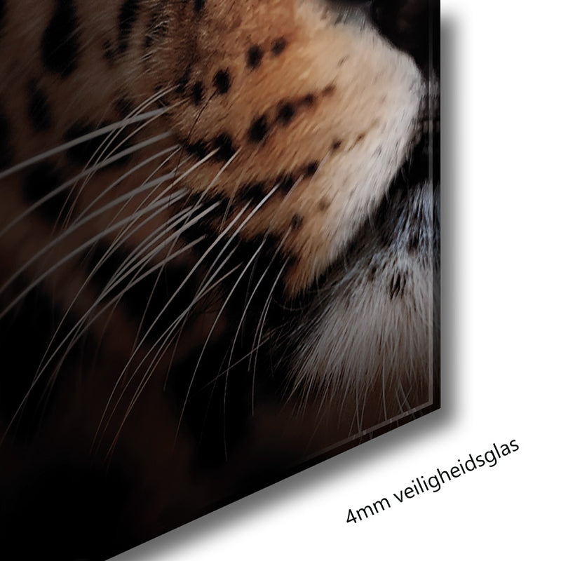 Glasschilderij - 120x80cm - Exclusive - Dieren -  Panter