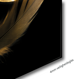 Glasschilderij - 100x150 / 80x120 / 60x90cm (liggend) - Exclusive - Special - Gouden Veren Mary