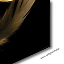 Glasschilderij - 100x150 / 80x120 / 60x90cm (liggend) - Exclusive - Special - Gouden Veren Mary