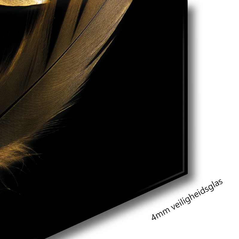 Glasschilderij - 100x150 / 80x120 / 60x90cm (liggend) - Exclusive - Special - Gouden Veren Mary