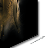 Glasschilderij - 120x80cm - Exclusive - Special - Gouden Veren