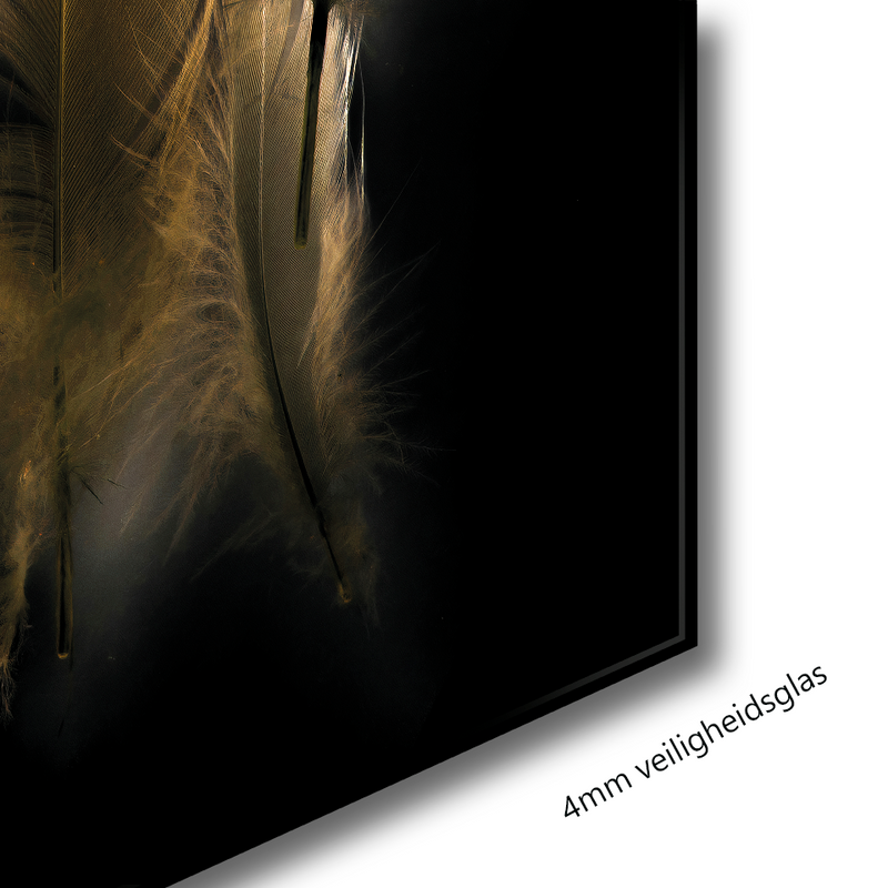 Glasschilderij - 120x80cm - Exclusive - Special - Gouden Veren