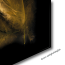 COMBI VOORDEELSET - Golden Feathers - 2x 120x80 cm - Glasschilderijen