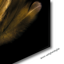 COMBI VOORDEELSET - Golden Feathers - 2x 120x80 cm - Glasschilderijen