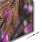 Glasschilderij - Exclusive - Liggend - Vera Eyes