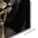 Glasschilderij - Exclusive - Liggend - Leeuwenfamilie 4 Welpen, van Rijn - Gouden Eeuw Serie