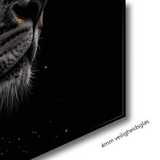 Glasschilderij - Exclusive - Liggend - in Stilte Leeuwenfamilie 1 Welp - Gouden Eeuw Serie