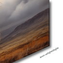 Glasschilderij - Exclusive - Liggend - Schotse Hooglander Natuur