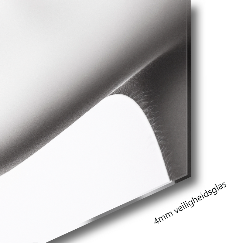 Glasschilderij - Exclusive - Liggend - Secret Kiss