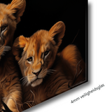 Glasschilderij - Exclusive - Liggend - Leeuwenfamilie Man 2 Welpen