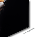 Glasschilderij - Exclusive - Liggend - Vos Side