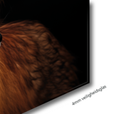 Glasschilderij - Exclusive - Liggend - Vos Rex