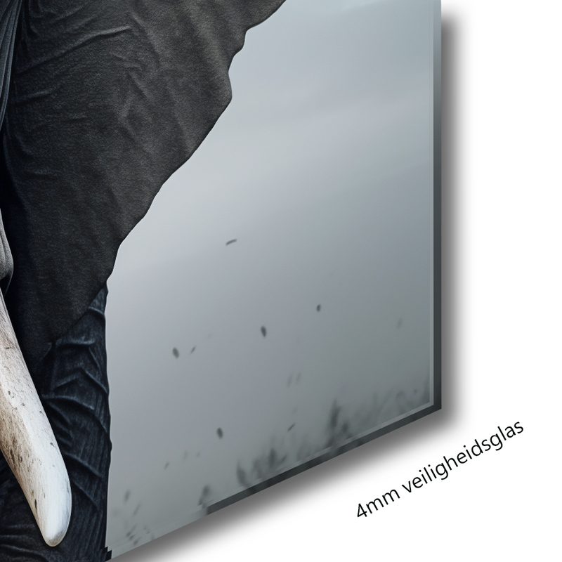 Glasschilderij - Exclusive - Liggend - Olifant Gelder