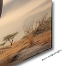 Glasschilderij - Exclusive - Liggend - Olifant met Baby