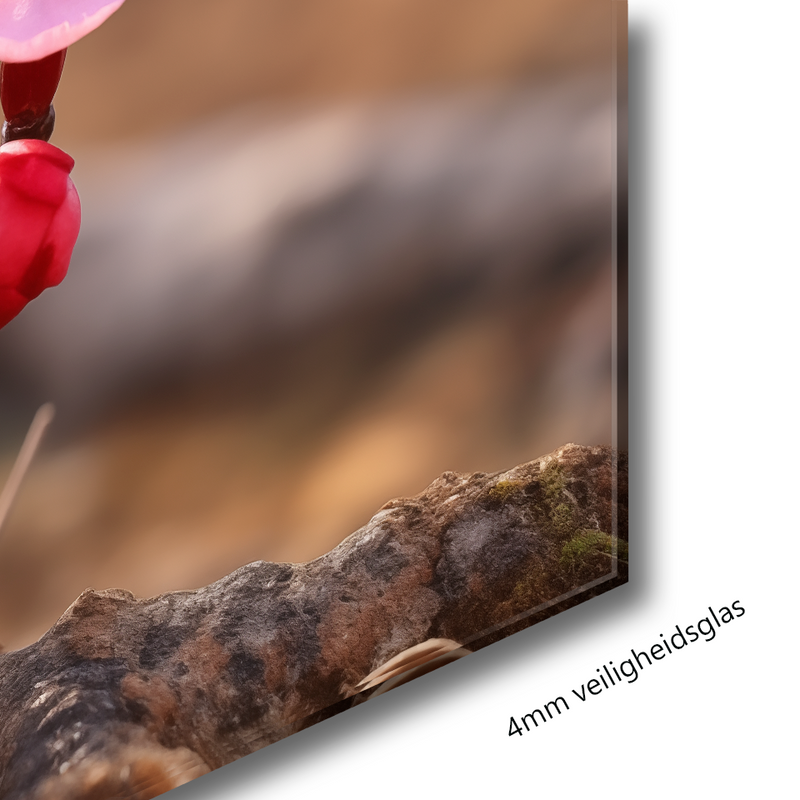 Glasschilderij - Exclusive - Liggend - Kersenbloesem Bloemen