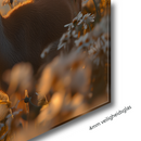 Glasschilderij - Exclusive - Liggend - Titel